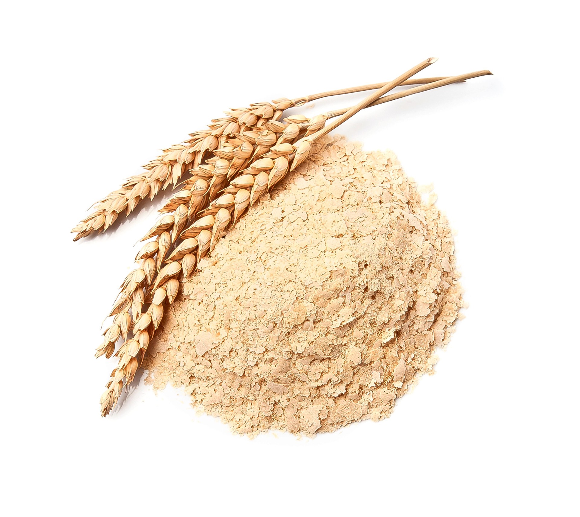 Durum Wheat 13.6% Protein Max